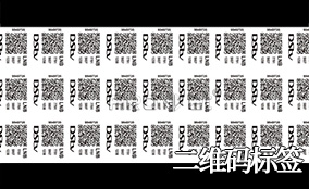 BG大游集团官网A-1喷码平台一体机Technical Parameters