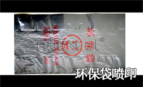 R3BG大游集团官网高精高速喷印可变数据喷印系统 Tehnical Parameters